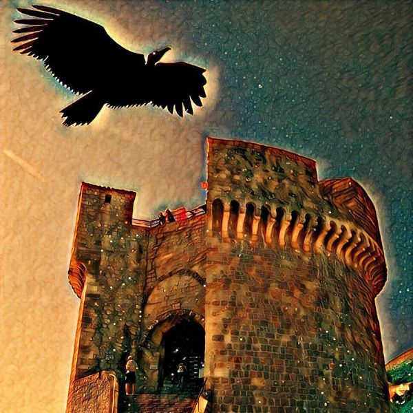 カバーイメージ